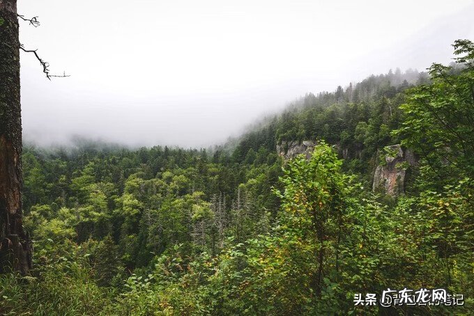 雾里看风景的说说 起雾的地方风水