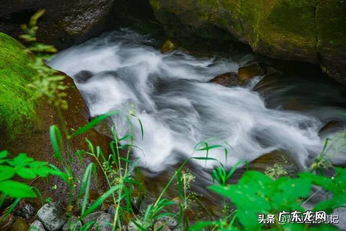 雾里看风景的说说 起雾的地方风水