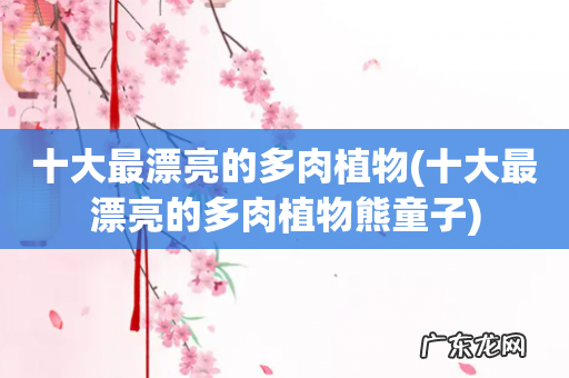 十大最漂亮的多肉植物熊童子 十大最漂亮的多肉植物