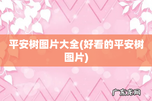 好看的平安树图片 平安树图片大全