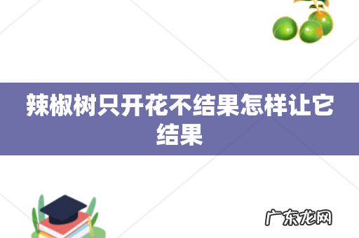 辣椒树只开花不结果怎样让它结果