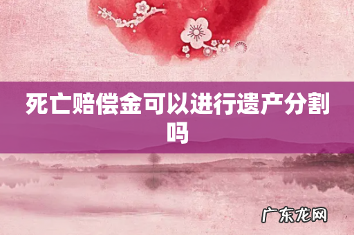 死亡赔偿金可以进行遗产分割吗