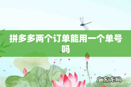 拼多多两个订单能用一个单号吗