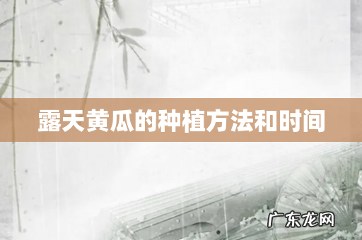 露天黄瓜的种植方法和时间