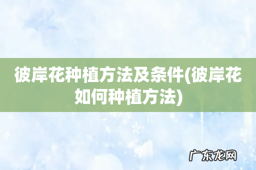 彼岸花如何种植方法 彼岸花种植方法及条件
