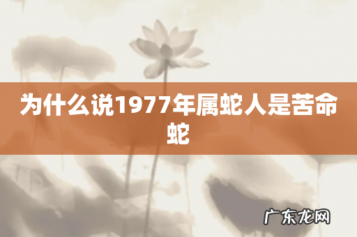 为什么说1977年属蛇人是苦命蛇