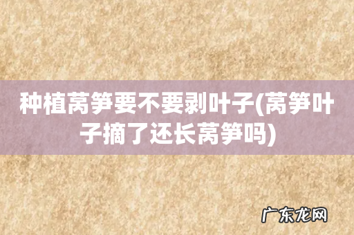 莴笋叶子摘了还长莴笋吗 种植莴笋要不要剥叶子