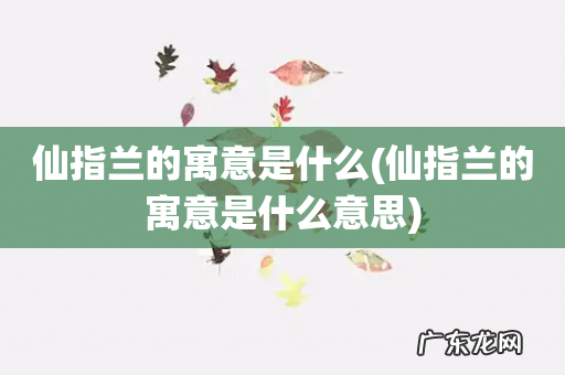 仙指兰的寓意是什么意思 仙指兰的寓意是什么