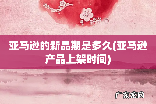 亚马逊产品上架时间 亚马逊的新品期是多久