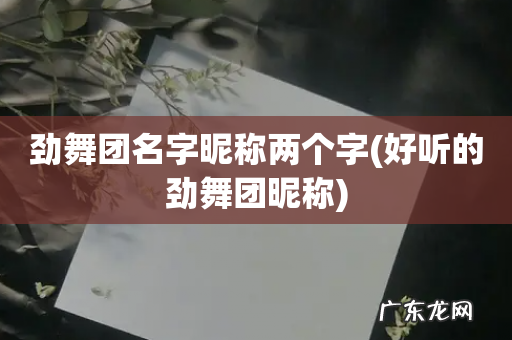好听的劲舞团昵称 劲舞团名字昵称两个字