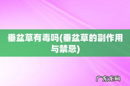 垂盆草的副作用与禁忌 垂盆草有毒吗