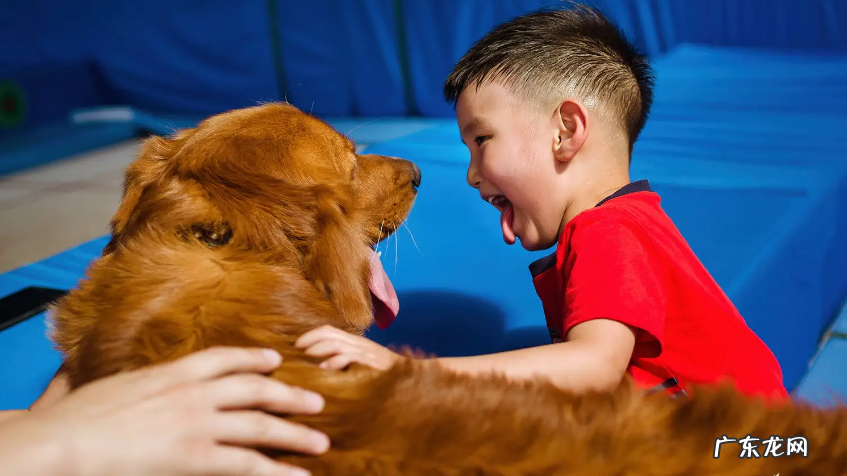 儿童教育游戏有哪些