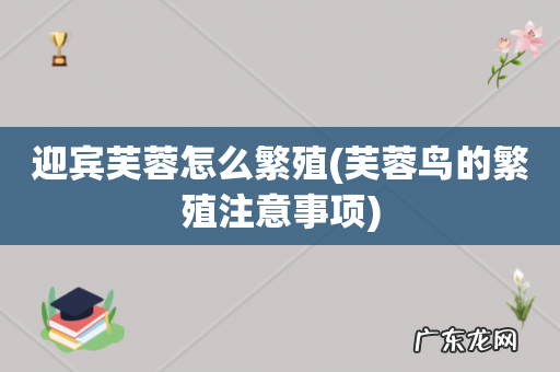芙蓉鸟的繁殖注意事项 迎宾芙蓉怎么繁殖