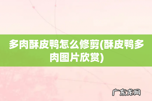 酥皮鸭多肉图片欣赏 多肉酥皮鸭怎么修剪