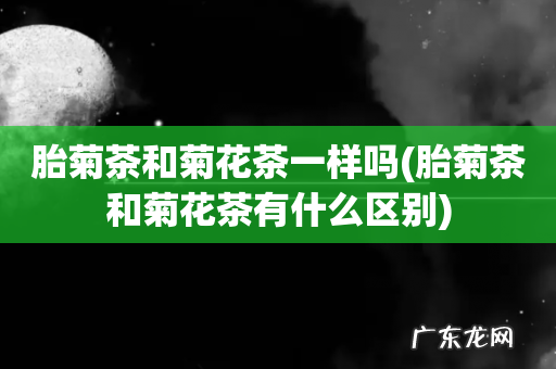 胎菊茶和菊花茶有什么区别 胎菊茶和菊花茶一样吗