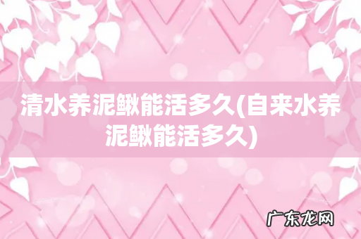 自来水养泥鳅能活多久 清水养泥鳅能活多久