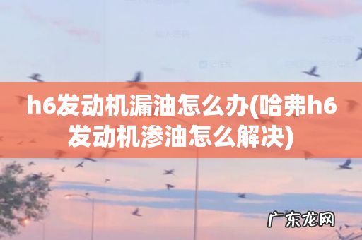 哈弗h6发动机渗油怎么解决 h6发动机漏油怎么办