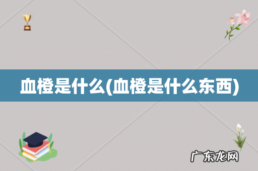 血橙是什么东西 血橙是什么