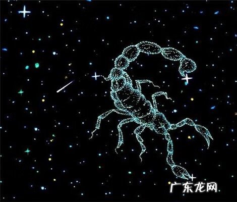 蝎毒疗法是假的 算命说蝎子命是什么意思