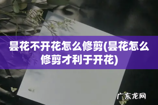 昙花怎么修剪才利于开花 昙花不开花怎么修剪