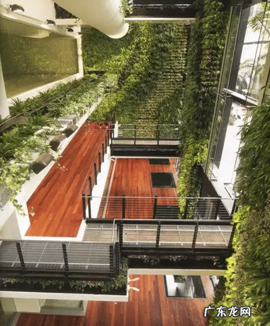 草缸影响风水吗 草缸讲究风水吗