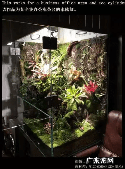 草缸影响风水吗 草缸讲究风水吗