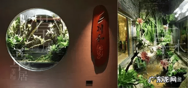 草缸影响风水吗 草缸讲究风水吗