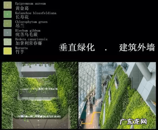 草缸影响风水吗 草缸讲究风水吗