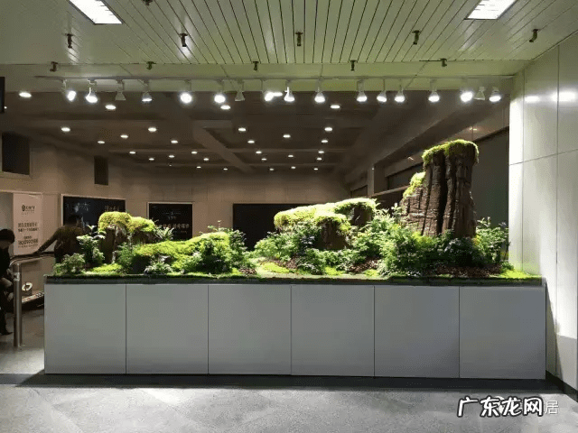 草缸影响风水吗 草缸讲究风水吗