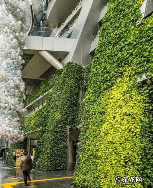 草缸影响风水吗 草缸讲究风水吗