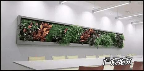 草缸影响风水吗 草缸讲究风水吗