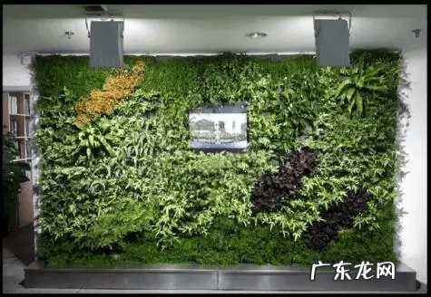 草缸影响风水吗 草缸讲究风水吗