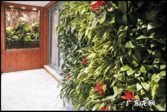 草缸影响风水吗 草缸讲究风水吗