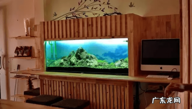 草缸影响风水吗 草缸讲究风水吗