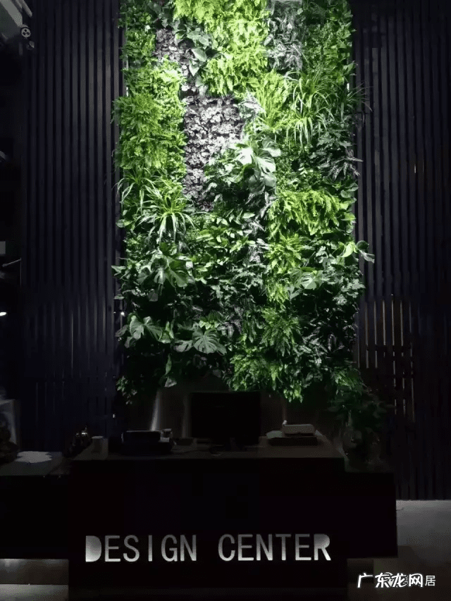 草缸影响风水吗 草缸讲究风水吗