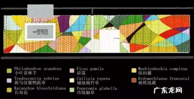 草缸影响风水吗 草缸讲究风水吗
