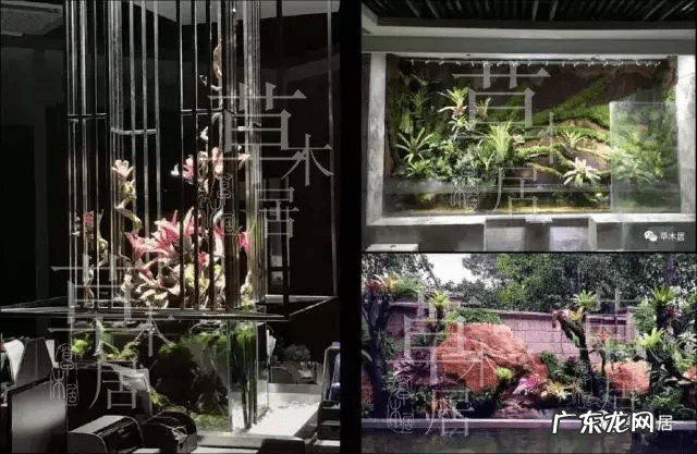 草缸影响风水吗 草缸讲究风水吗