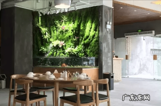 草缸影响风水吗 草缸讲究风水吗