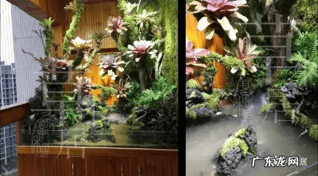 草缸影响风水吗 草缸讲究风水吗