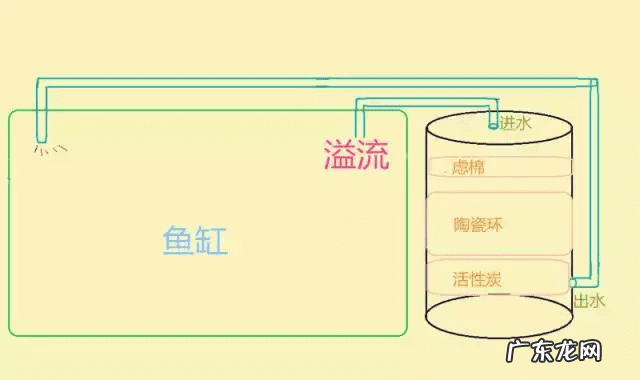 草缸影响风水吗 草缸讲究风水吗