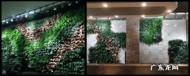 草缸影响风水吗 草缸讲究风水吗