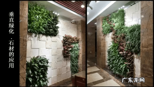 草缸影响风水吗 草缸讲究风水吗