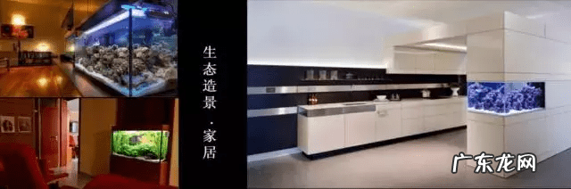 草缸影响风水吗 草缸讲究风水吗