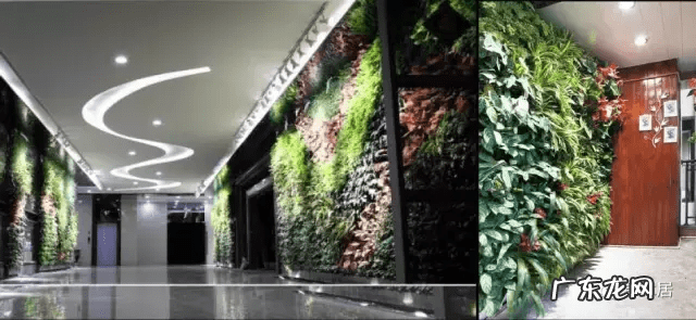 草缸影响风水吗 草缸讲究风水吗