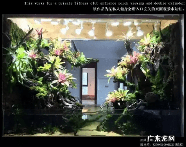 草缸影响风水吗 草缸讲究风水吗