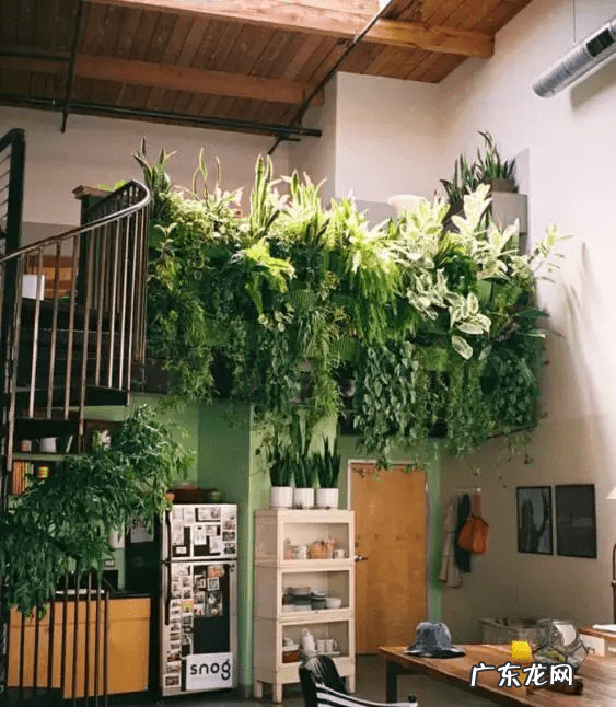 草缸影响风水吗 草缸讲究风水吗