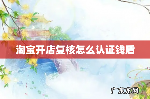 淘宝开店复核怎么认证钱盾