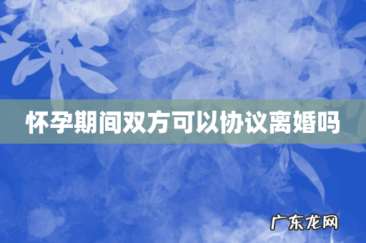 怀孕期间双方可以协议离婚吗