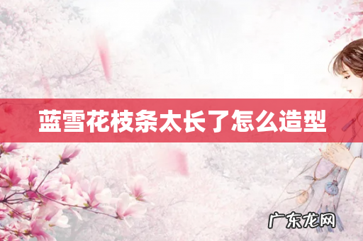 蓝雪花枝条太长了怎么造型