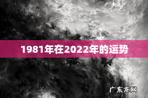 1981年在2022年的运势